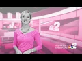 Komen Race 2017 Lisa Spooner 15