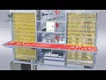 Chicken Farm Automatic Egg Collection System Egg Collector Chicken Feeder for Poultry Farming