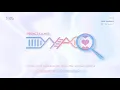 [VIETSUB + ENGSUB] BTS (방탄소년단) - DNA (Pedal 2 LA Mix)
