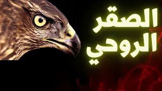 سيزرية الصقر الروحي جذب الحبيب بشكل م حكم لامفر منه 