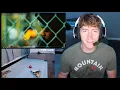 Chris REACTS to We Came As Romans - To Plant A Seed