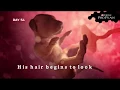 Puppy s development