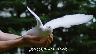 سهام العشق شعر عبدالمجيد ابراهيم الزامل 