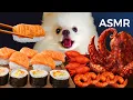 ASMR Mukbang Yue the Pomeranian Eating Sushi Seafood Squid Salmon Octopus Kimbap Shrimp