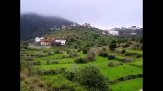 شيلة أبرق الريش كلمات يحي الاحمري أداء ظافر العمري 