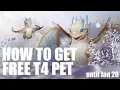 HOW TO GET FREE T4 PET until Jan 20 - Black Desert Quick Guide Baby Ice Dragon Young Rauno BDO