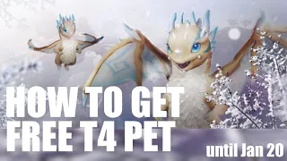 HOW TO GET FREE T4 PET until Jan 20 - Black Desert Quick Guide Baby Ice Dragon Young Rauno BDO