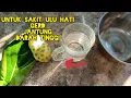 Download Lagu Cara Membuat Teh Daun Mengkudu agar EFEKTIF untuk GERD sakit ulu hati
