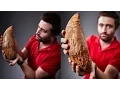 Tooth of Extinct Killer Sperm Whale Found in Australia