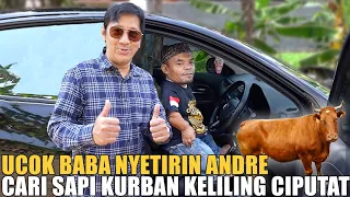ucok baba setirin andre pertama kali keliling ciputat nyari sapi kurban