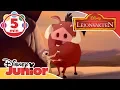 Download Lagu Lejonvakten | Musik: Sånger från Savannen 🎶 - Disney Junior Sverige