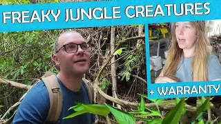 Got Lost in the Trinidad Jungle