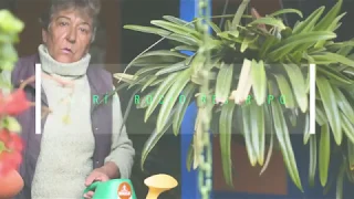 muestras producci n de video mi d a sobre ruedas