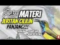 Download Lagu MASTERAN SOGON JERITAN CILILIN PANJANG!!! #sogon #sogongacor #sogokontonggacor #sogokontong