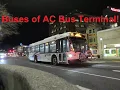 NeoplanDude S8EP29 NJ Transit Action at the Atlantic City Bus Terminal