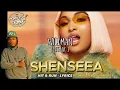 SHENSEEA _HIT & RUN__FT_MASICKA DI GENIUS ( WILDMAN REMIX )