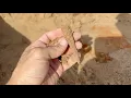 Found Incredible 4 000 Year Old Bone Awls Plus the tool that made them
