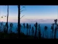 Download Lagu a-ha | Forest fire (oficial, Cast in Steel 2015)