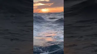 Sunrise Sailing ⛵️