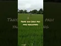 Download Lagu tanyakan pada rumput yang bergoyang