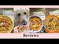 Goldendoodle Reviews Food Dr Marty Nature s Blend