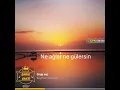 Download Lagu Grup roj-Duydum ki bensiz (şarkı vakti)