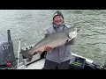 Spring Chinook Salmon Striped Bass Fishing at Lower Umpqua River