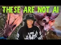 Zoologist Answers WTF is THAT Variety Pack Lindsay Nikole