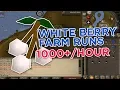 OSRS - Most efficient way to gather white berries on an Ironman