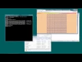 16-bit Assembly for DOS Hello World