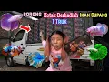 Download Lagu BORONG IKAN CUPANG 1 MOBIL TRUK ! Sampai Di Usir Mama! Tolong..