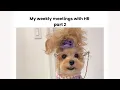 My weekly meetings with HR part 2