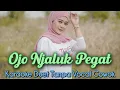 Download Lagu Ojo Jaluk Pegat Karaoke Duet Tanpa Vocal Cowok || Ojo Njaluk Pegat Karaoke