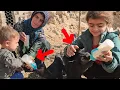 Nomads suckling a newborn goat