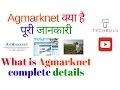 Agmarknet - Agricultural Marketing Information Network