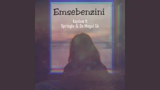 emsebenzini