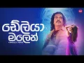 Lagu Deliya Malen (ඩේලිය මලෙන්) - Kingsley Peiris - Hitma Music Official Lyrics Video