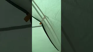 A cute little friendly bug 🐛 cruising around the outside of our tent  #backpacking #hiking  ￼