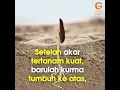 Download Lagu Kita harus belajar dari pohon kurma