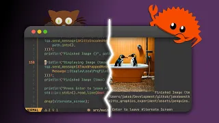 Beyond ASCII Art Display Real Images in Kitty Terminals with Rust Terminal Graphics Protocol