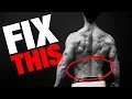 How to Get a Strong Low Back DO THIS EVERY DAY