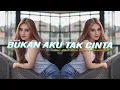 Download Lagu INI YANG KALIAN CARI !!! DJ BUKAN AKU TAK CINTA
