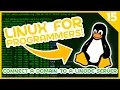 Linux for Programmers - How to Connect a Domain to a Linode Server