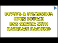 DevOps SysAdmins Open source DNS server with database backend 2 Solutions
