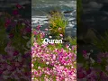 Download Lagu Surah Zumar ayat 23 Urdu translation