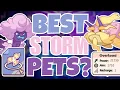 These May Be The New Best Storm Pets Prodigy Math Game