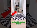Would Your Cat Fall For This 3D Rug Trick shorts