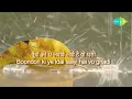 Rim Jhim Rim Jhim Lyrical | रिम झिम रिम झिम | 1942-Love Story | Anil Kapoor | Bollywood Classics