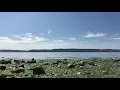 The swim babe 21 Mukilteo Beach park 3 swimming in low tide