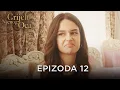 Download Lagu Grijeh Njenog Oca - Epizoda 12 | Aladža - Alaca Bosanski Titlovi
